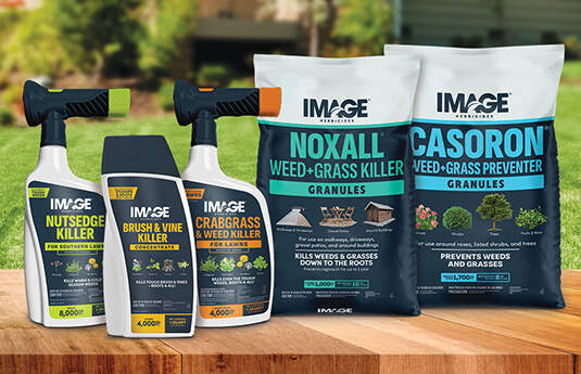 image family products