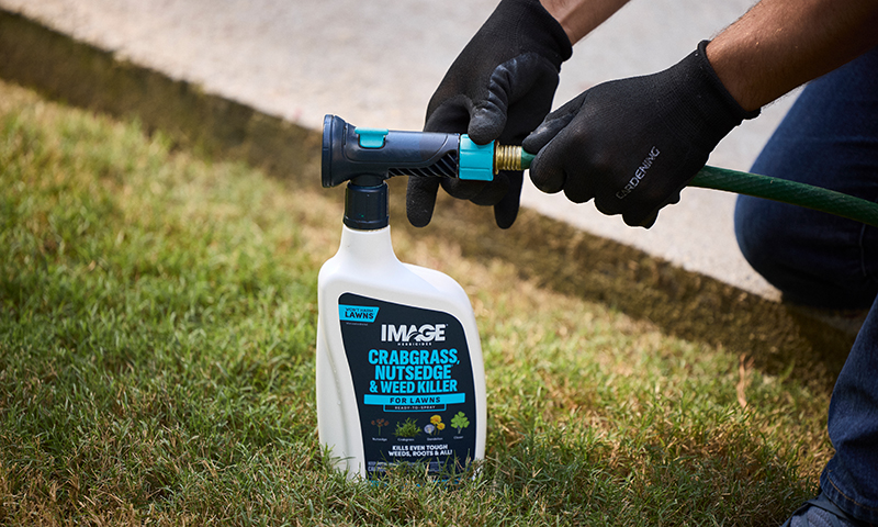 image herbicides crabgrass nutsedge weed killer for lawns