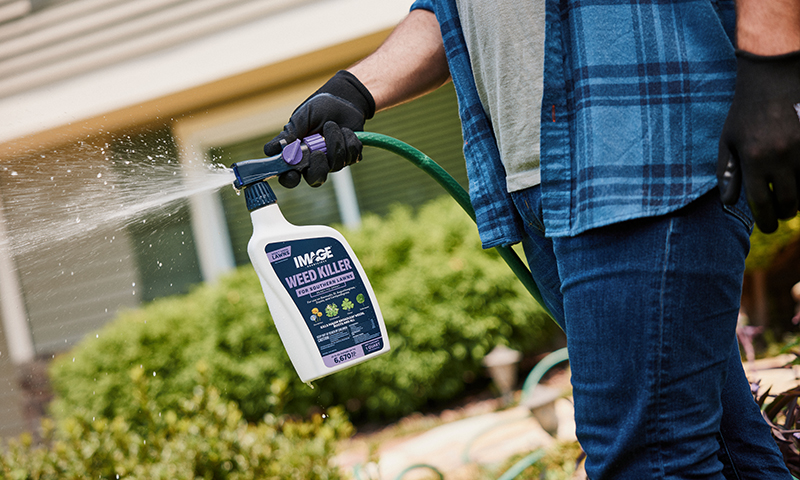 image herbicides weed killer for southern lawns