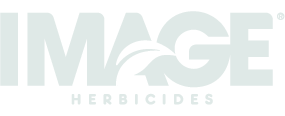 all-products