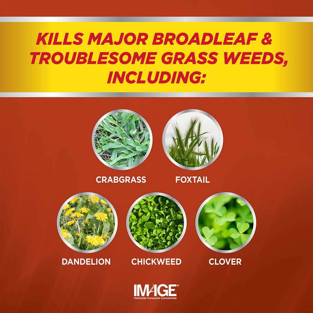Image Crabgrass Killer Concentrate kills broadleaf and grass weeds including: crabgrass, foxtail, dandelion, chickweed and clover.