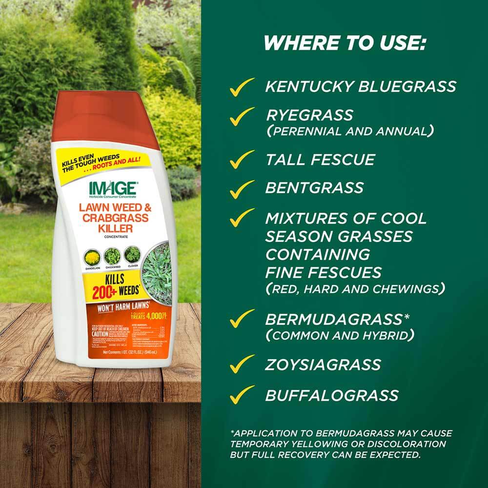 Get Rid Of The Stubborn Dallisgrass In Your Yard With These Tips