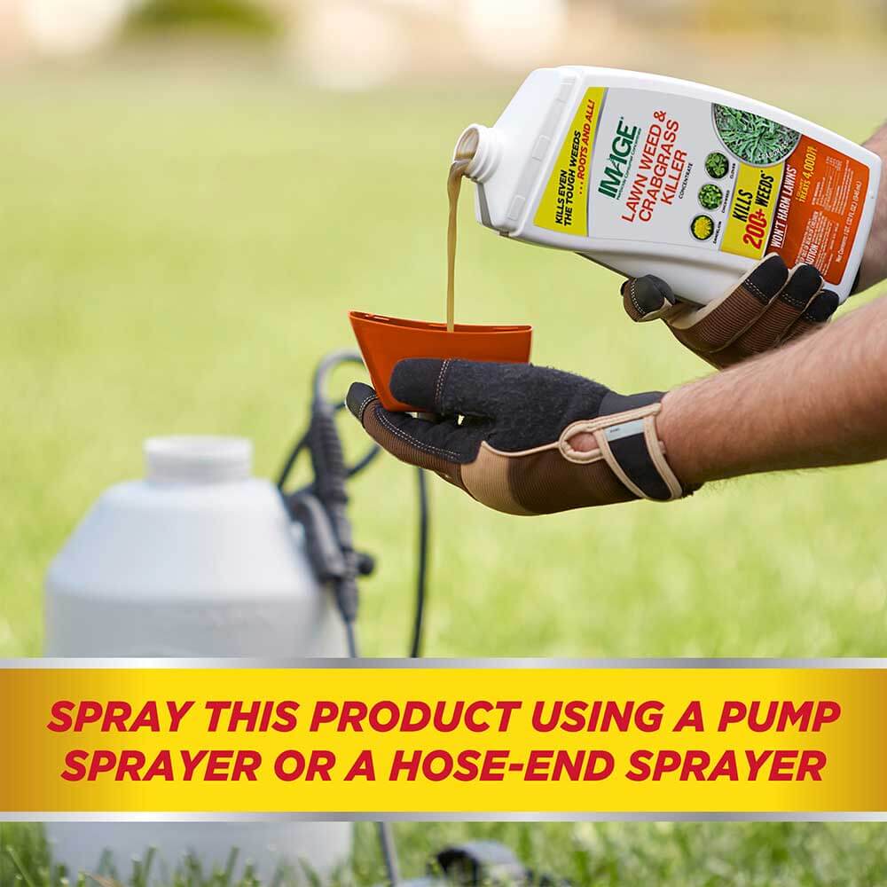 Spray this product using a pump sprayer or a hose-end sprayer.