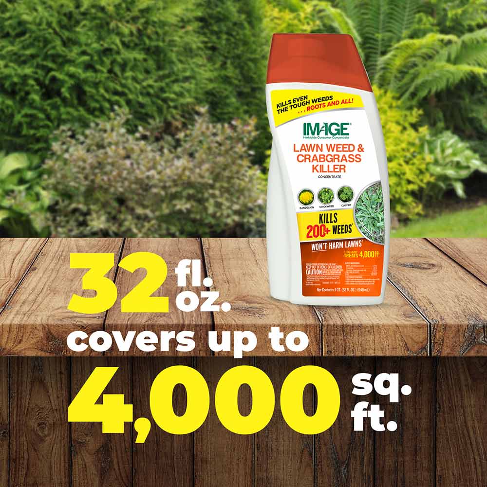 32 fl. oz. of Image Crabgrass Killer Concentrate covers up to 4,000 sq. ft.