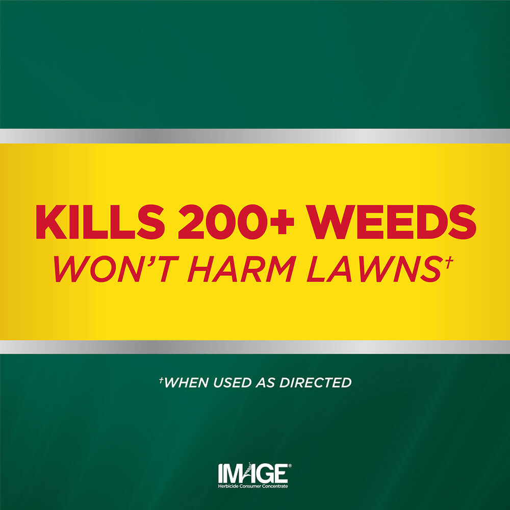 Image Crabgrass Killer Ready to Spray kills 200+ weeds and won't harm lawns