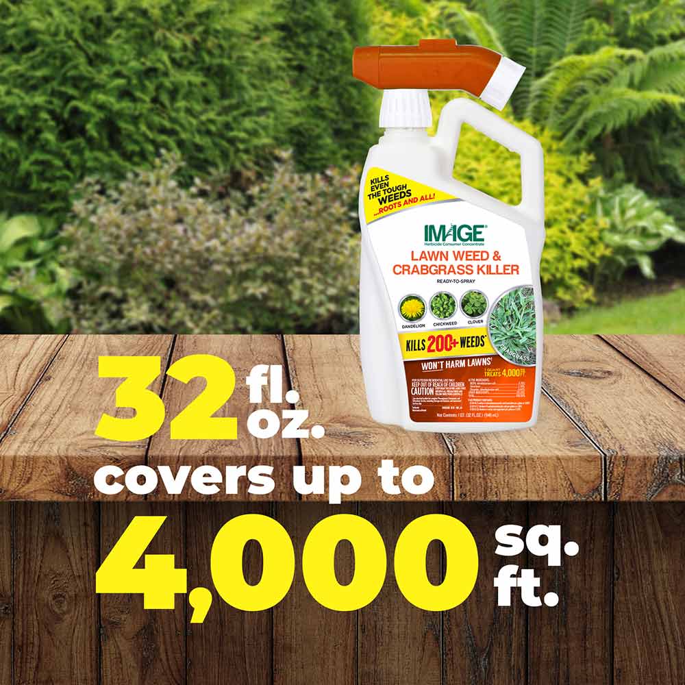 32 fl. oz. of Image Crabgrass Killer Ready to Spray covers up to 4,000 sq. ft.