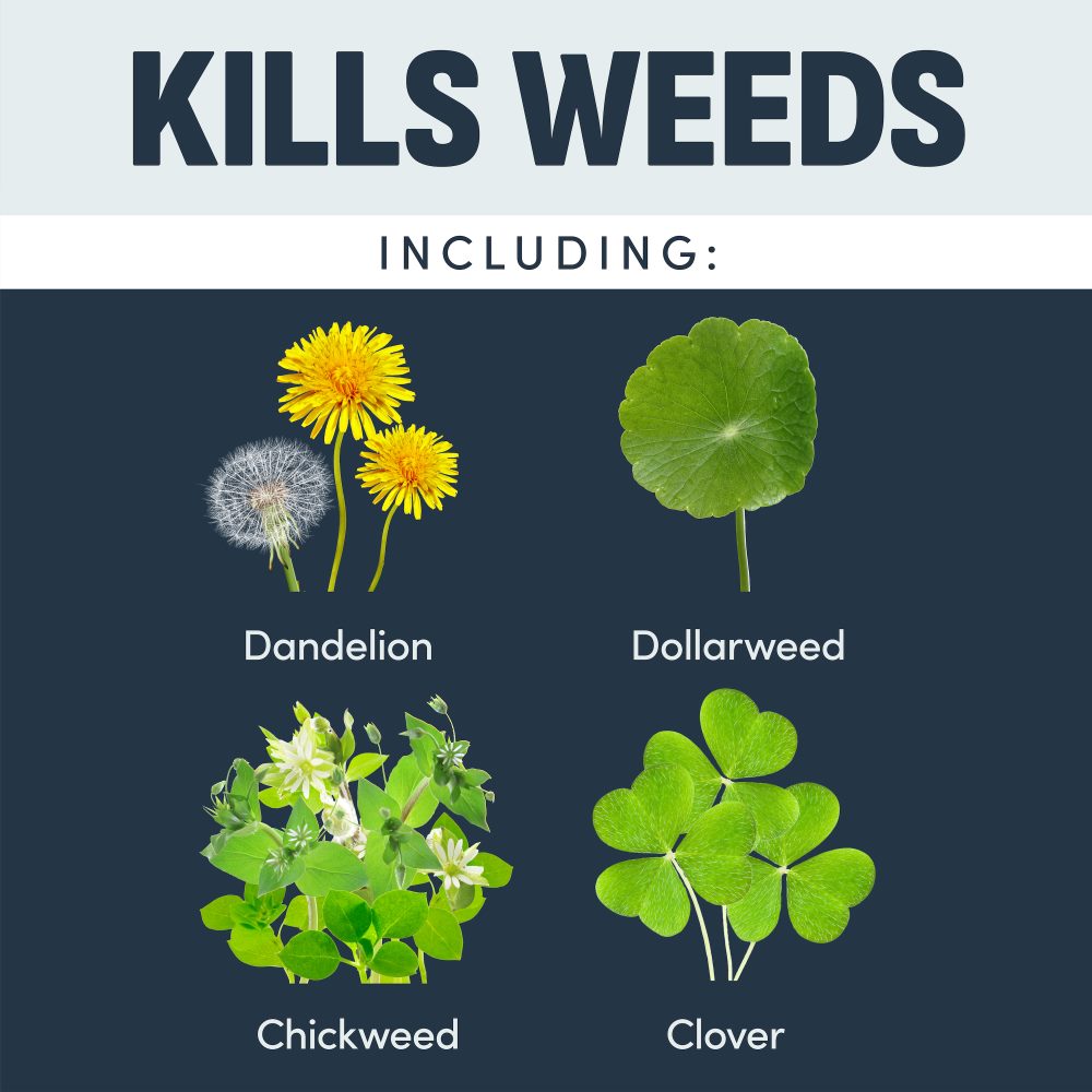 image weed killer foaming spray