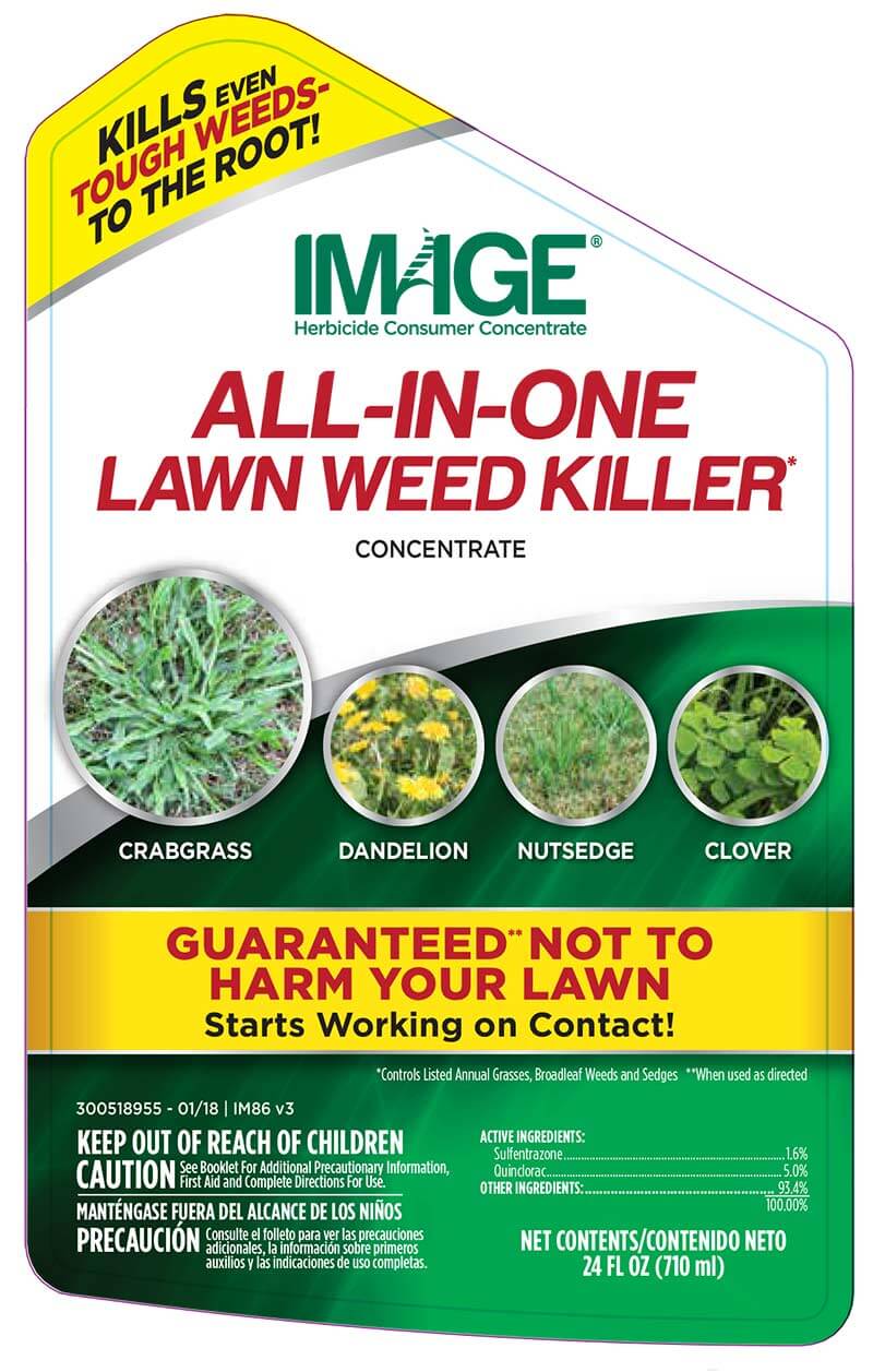Image for Weeds All-in-One Lawn Weed Killer Concentrate label